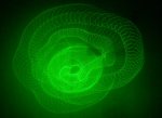 SpiroSnake.jpg