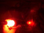 100_0588.jpg