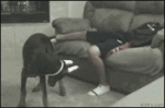 avatar16142_2.gif