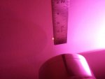 20121207_191443 (Custom).jpg