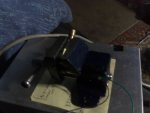 Behind view of little blu-001.jpg