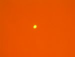 Ti-B 532   pics of spot  w and wo goggles 004.jpg