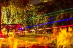 Garden Pics -6.jpg