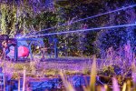 Garden Pics-13.jpg