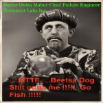 Gypsy_fortune_teller with text3.jpg
