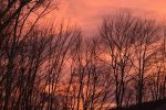 DSC_0139.JPG