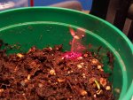 20160216_201256.jpg