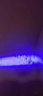 IMG_20220713_115012_50.jpg