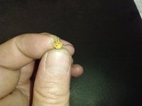 Diode3.jpg