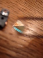 IMG_20240525_162954529.jpg