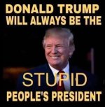 Stupid People's.jpg