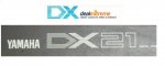 dxlogo.JPG