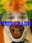 wesdaman14.jpg