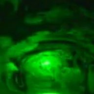 laserwarmedcoffey