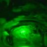 laserwarmedcoffey